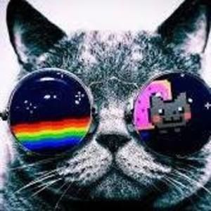 Meet your Posher, Edward